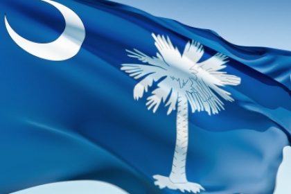 The state flag of South Carolina